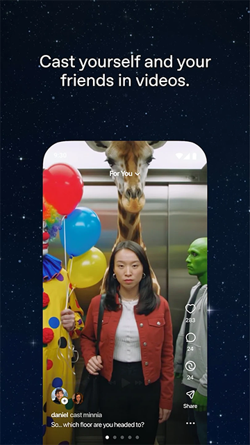 sora图1
