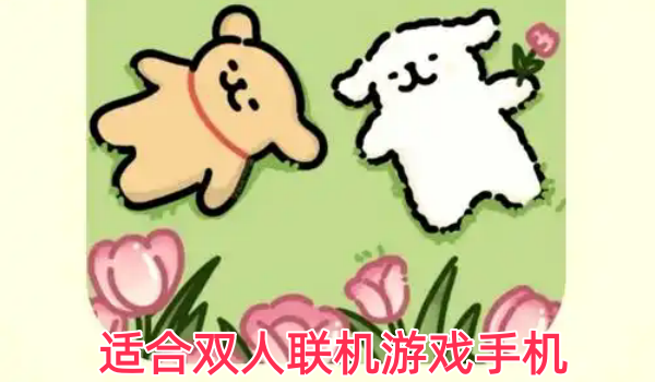 适合双人联机游戏手机