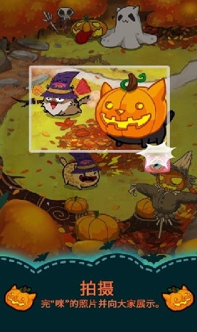Fancy Cats游戏图1