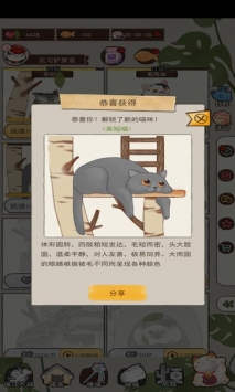 喵大人物语手游图2