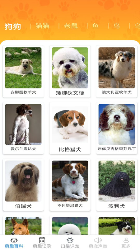 多多趣养宠app图2