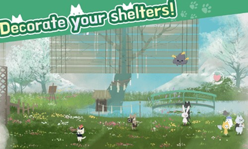 猫咪收容所游戏图2