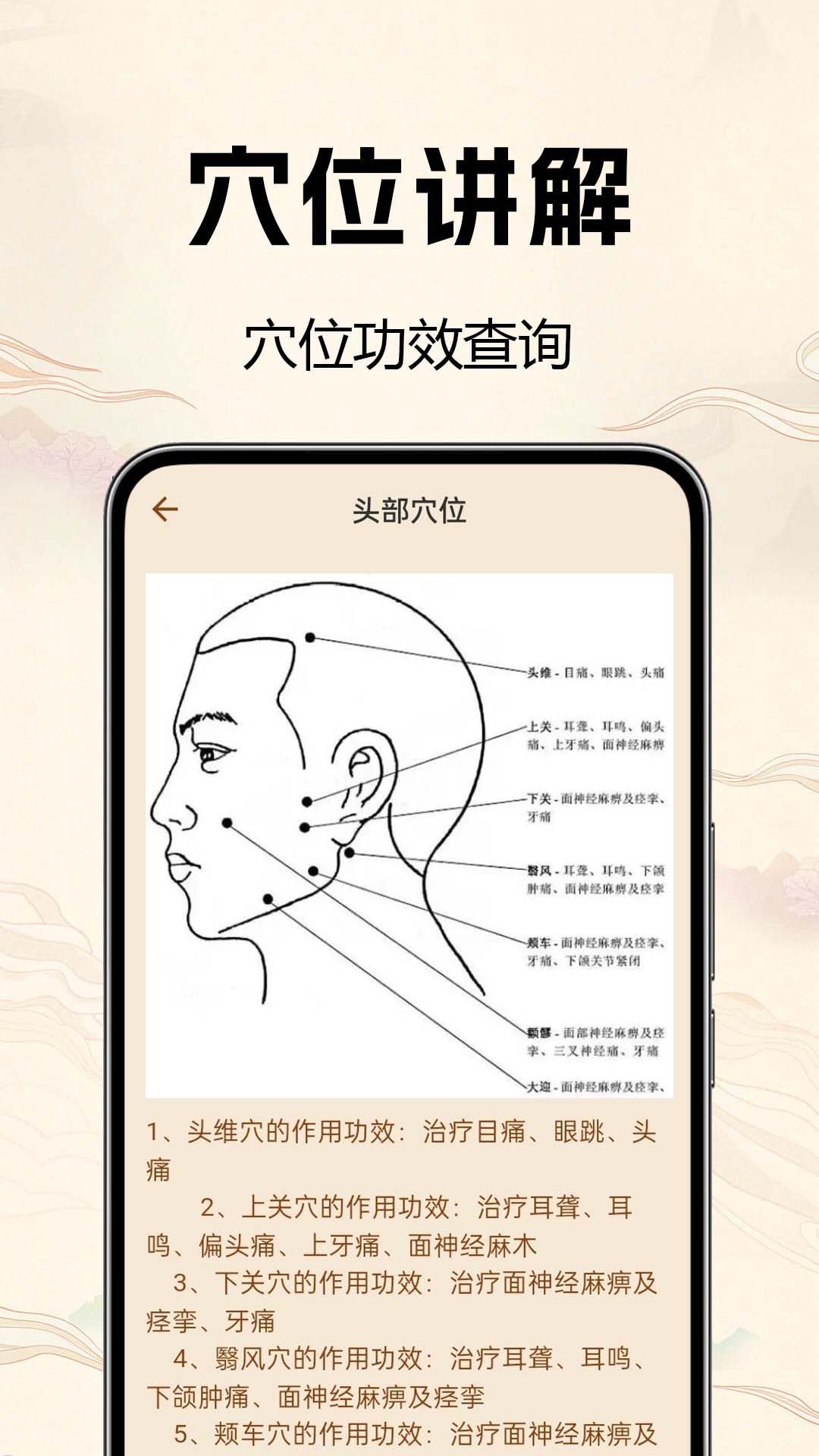 中医经络穴位详解app图3
