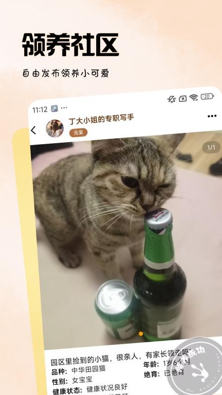 拟人星球安卓版图2
