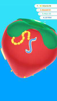 snakecube图2