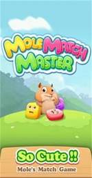 鼹鼠匹配大师(Mole Match Master)图3