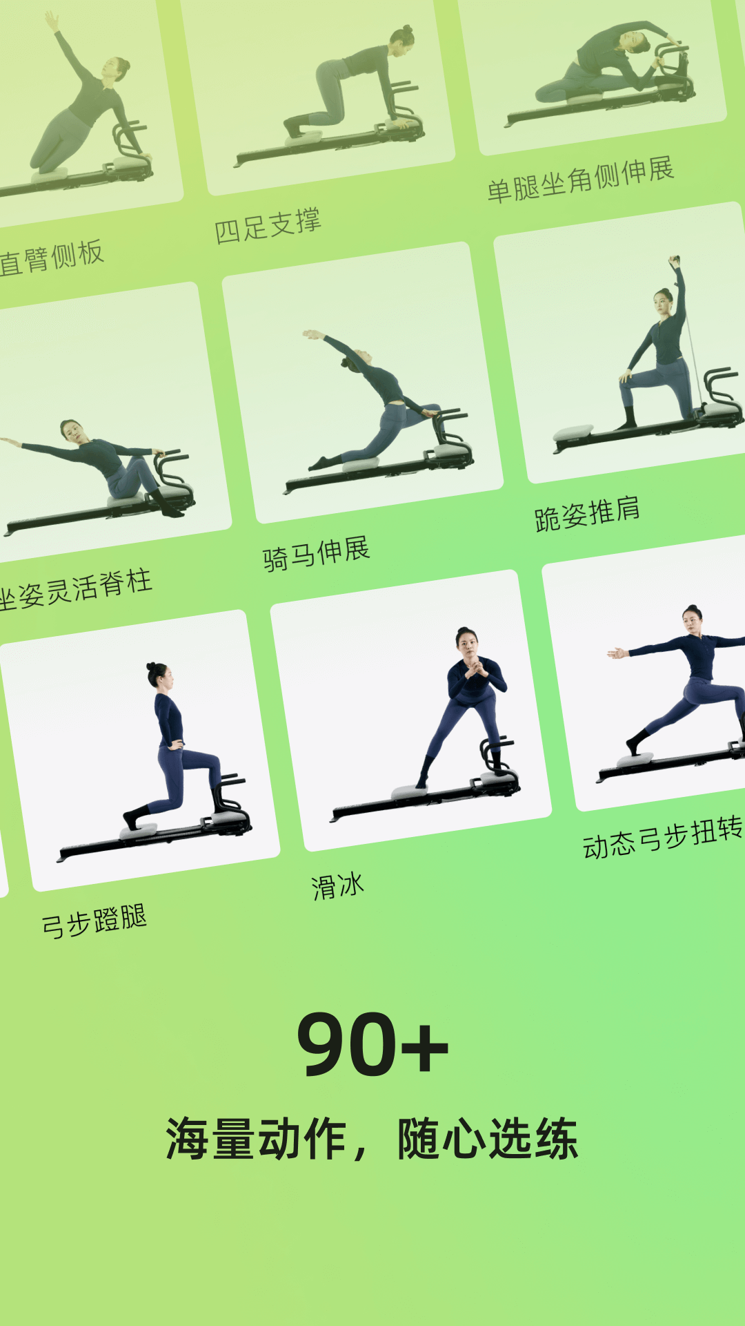 roulistic flex软件图1
