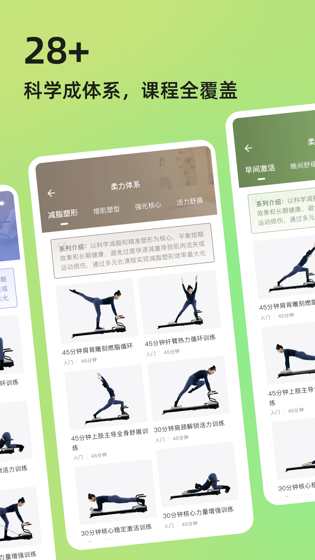 roulistic flex软件图2