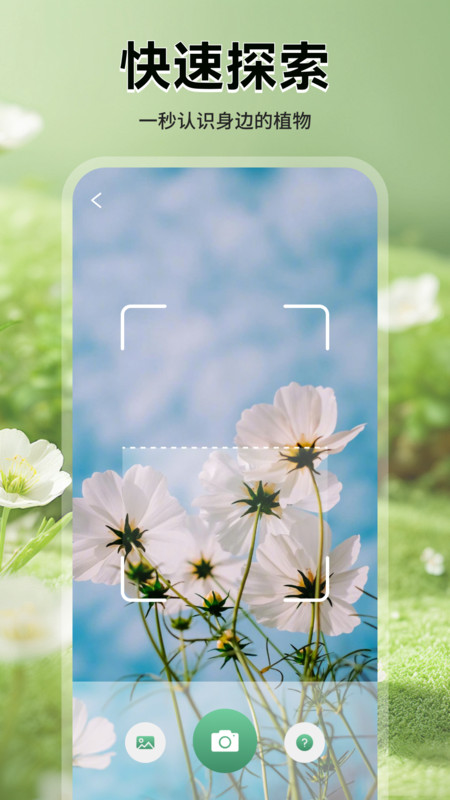 花花乐园助手app图1