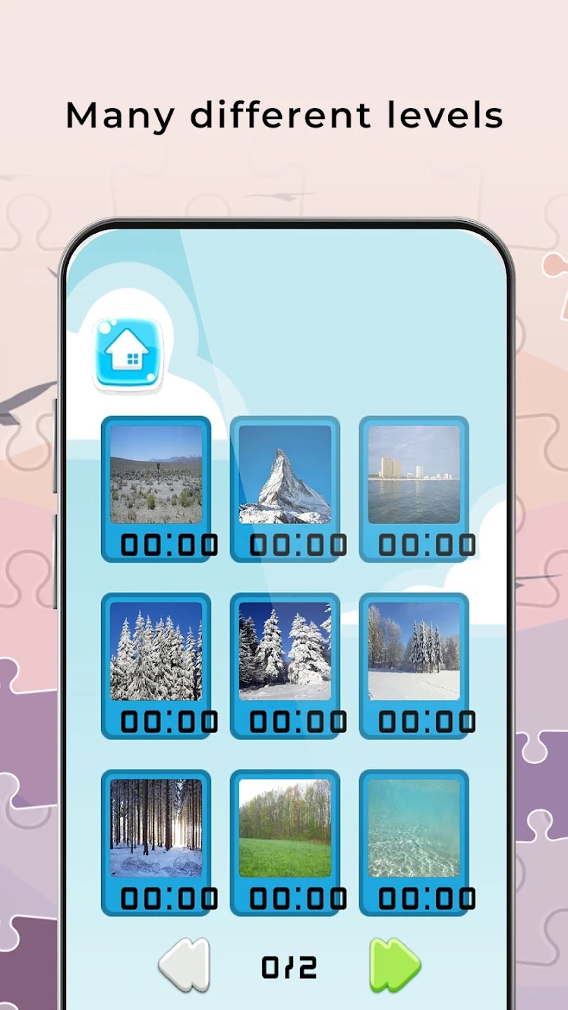 自然之谜（Nature Puzzles）游戏图2