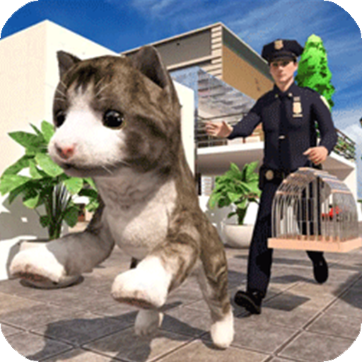 极速流浪猫手机版