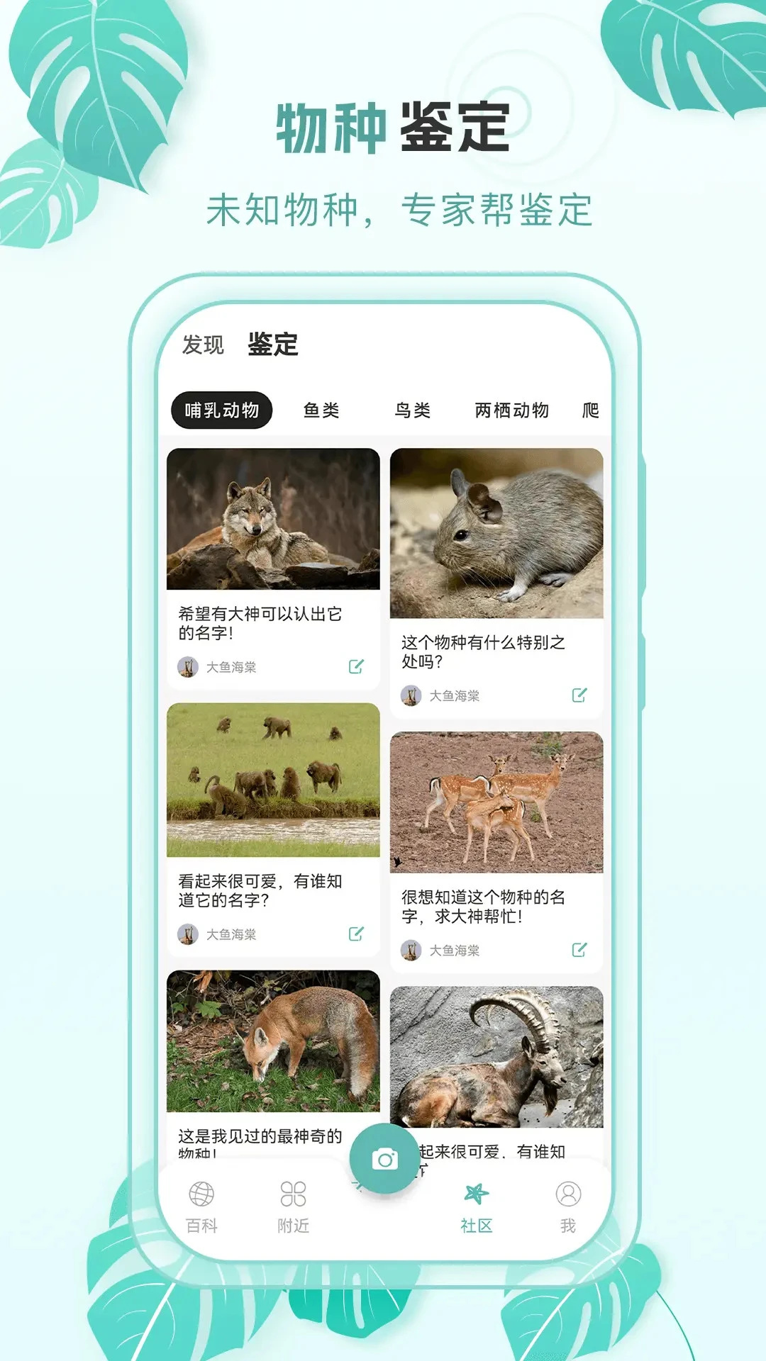 百科物语安卓版图3