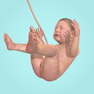 宝宝养成模拟器游戏