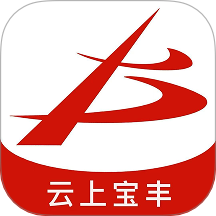 云上宝丰官网版