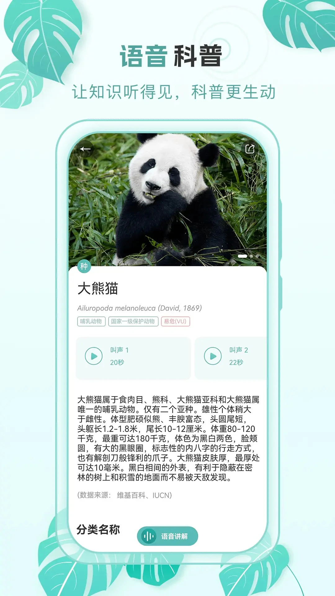 百科物语安卓版图2