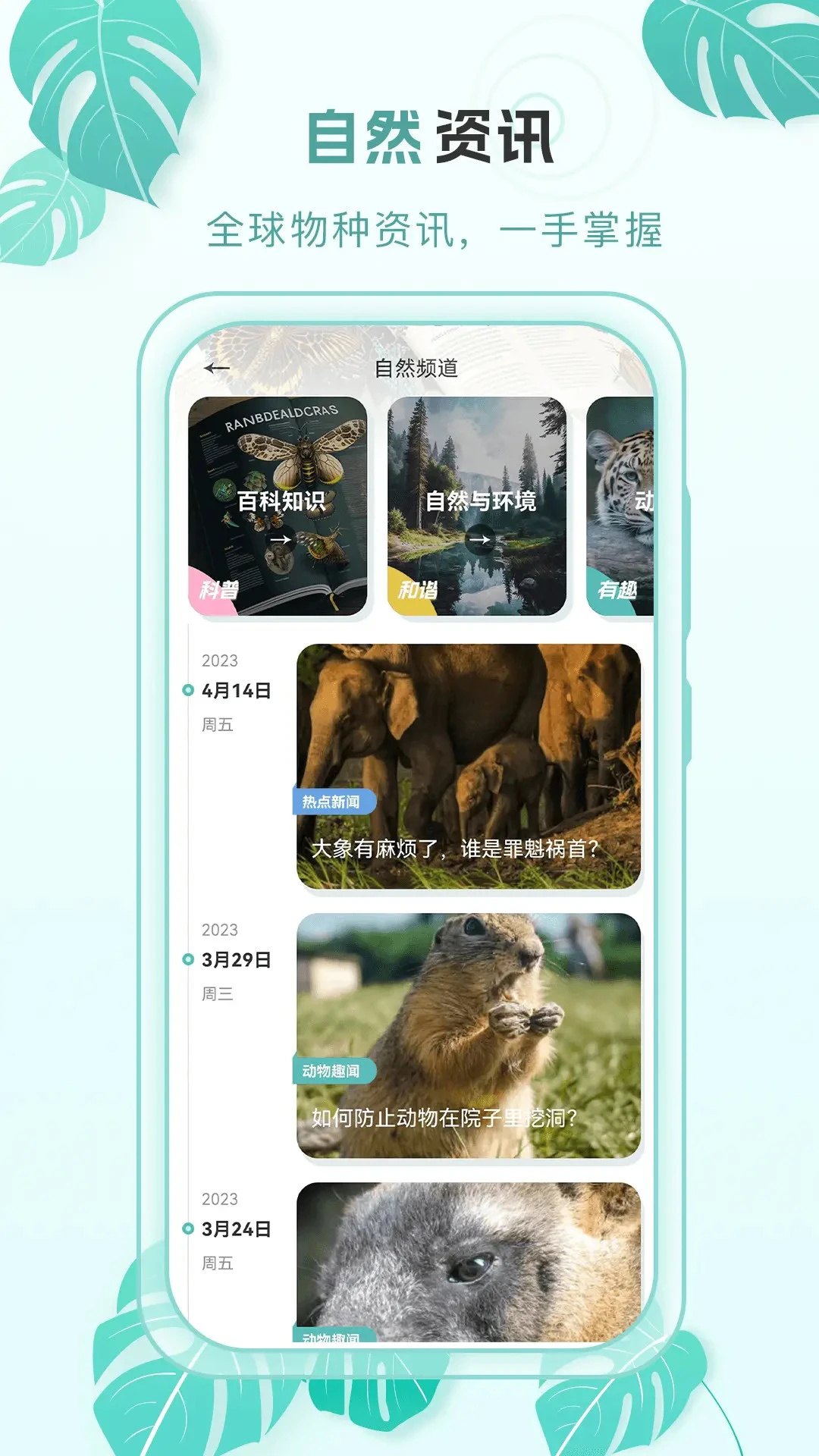 百科物语安卓版图5