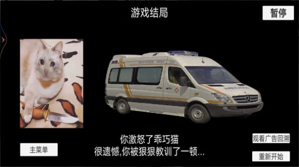 猫猫惊魂夜截图3