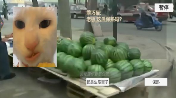 猫猫惊魂夜截图2