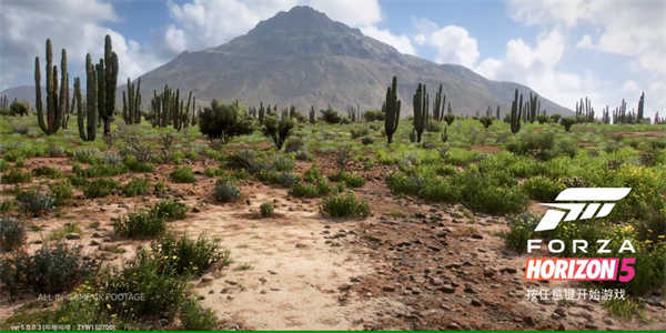 地平线5下载手机版官方版正版图3