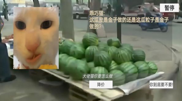 猫猫惊魂夜截图4