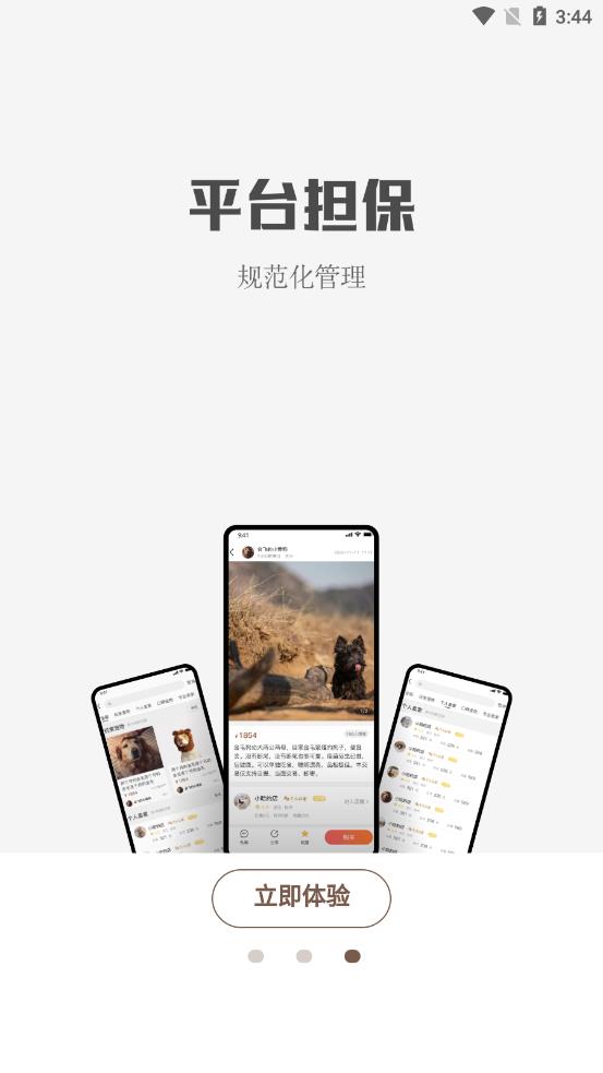集宠区图3