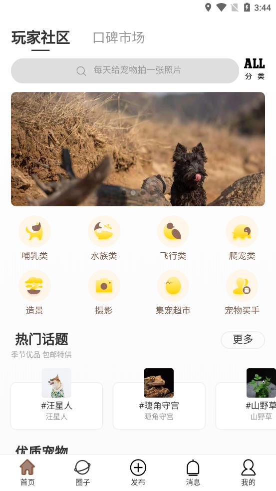 集宠区图2