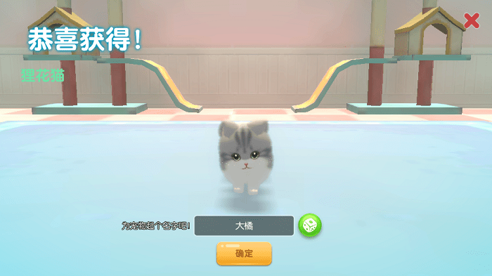 养了个猫无广告图2