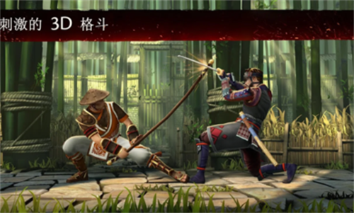 暗影格斗2破解