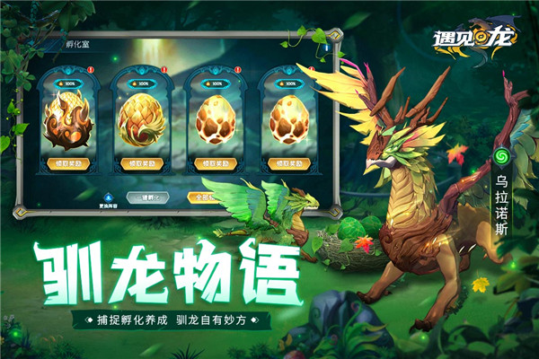 遇见龙无限金币版图1