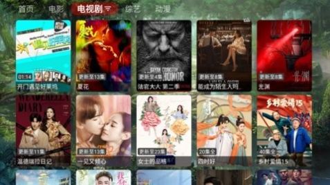 苦瓜TV第2张截图