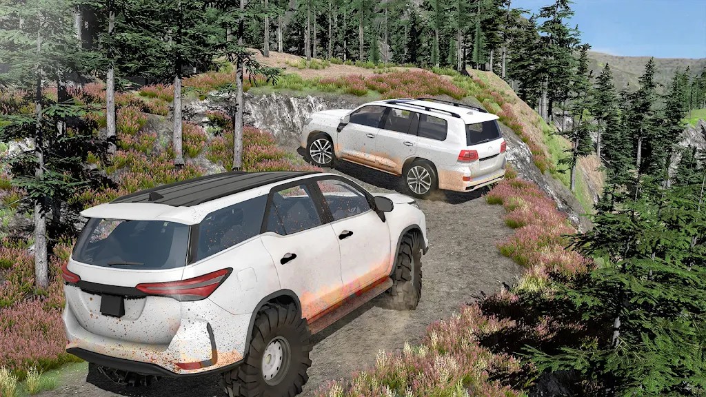 Fortuner Offroad Driving