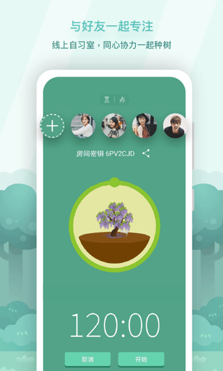 专注森林最新版截图4