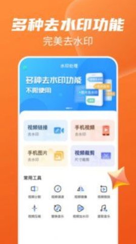 视频去水印工具1.2.5免费版图1