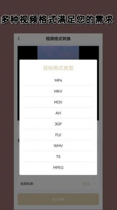 视频格式转换大师截图1