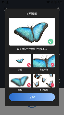 昆虫识别码图3