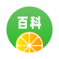 智慧百科图标