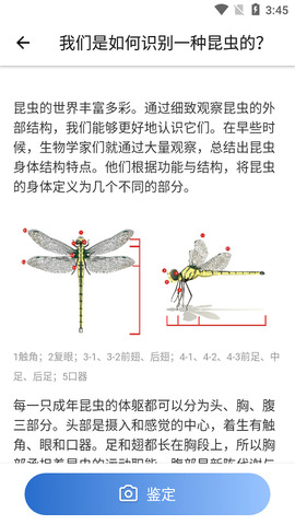 昆虫识别码图2