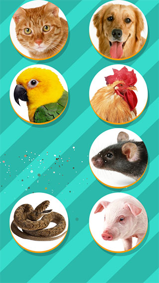 PetTranslator动物语言翻译器图1