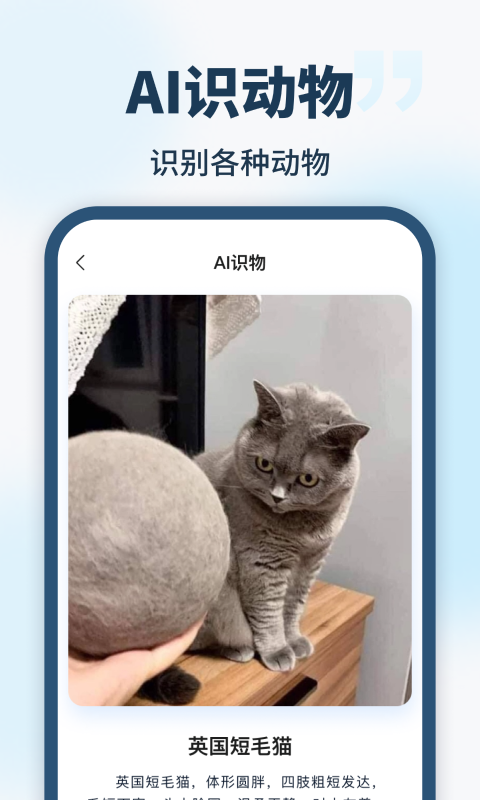 AI智能助手图2