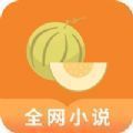 肉丸书吧app安卓版图标