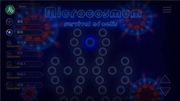 microcosmum图2