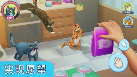 我的宠物猫模拟器官方版图1