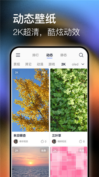 极壁纸app安卓版下载截图2