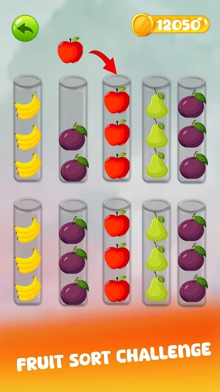 水果分类器FruitSort图3