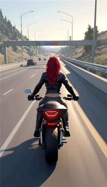 BikeHighwayRacer图4
