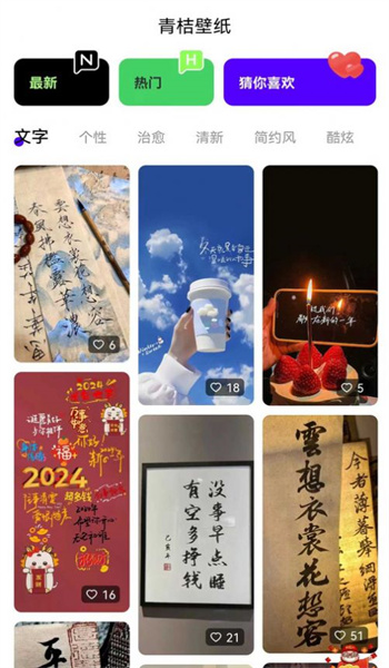 青桔壁纸图3