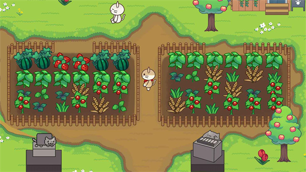 猫猫森林历险图4