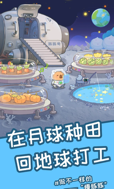 慢豚豚的生活1.0.4图3
