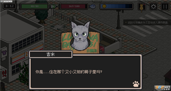 流浪猫的故事图2