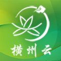 横州云客户端